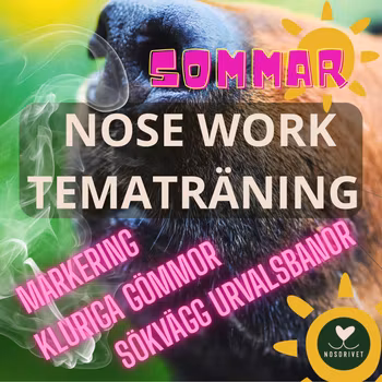 Nose Work TEMATRÄNINGAR