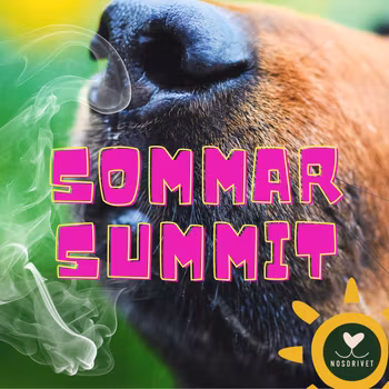 Nosdrivets SOMMARSUMMIT