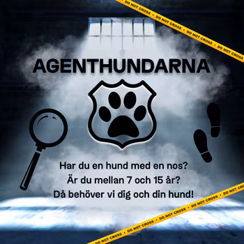 AGENTHUNDARNA 11/7