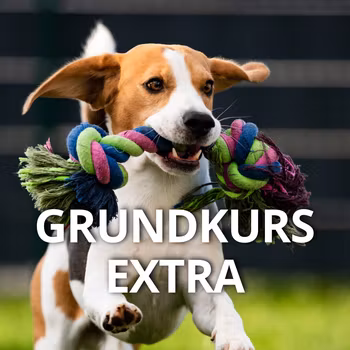 Grundkurs EXTRA