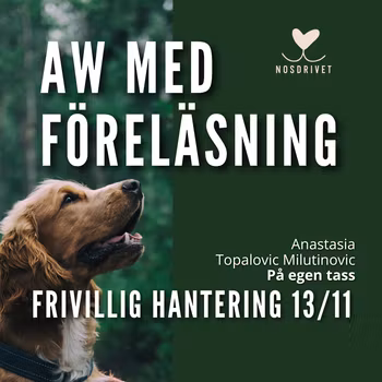 FRIVILLIG HANTERING AW-föreläsning