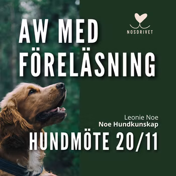 HUNDMÖTE AW-föreläsning