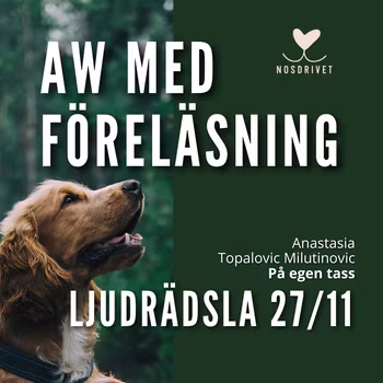 LJUDRÄDSLA AW-föreläsning