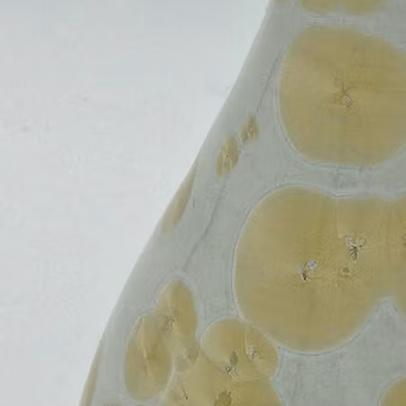 Vas med Titan kristallglasyr