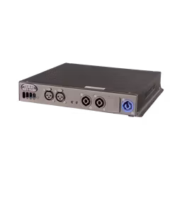 D1-AMPS