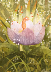 Enkelt Kort - Den förälskade daggmasken (Fraktfritt)