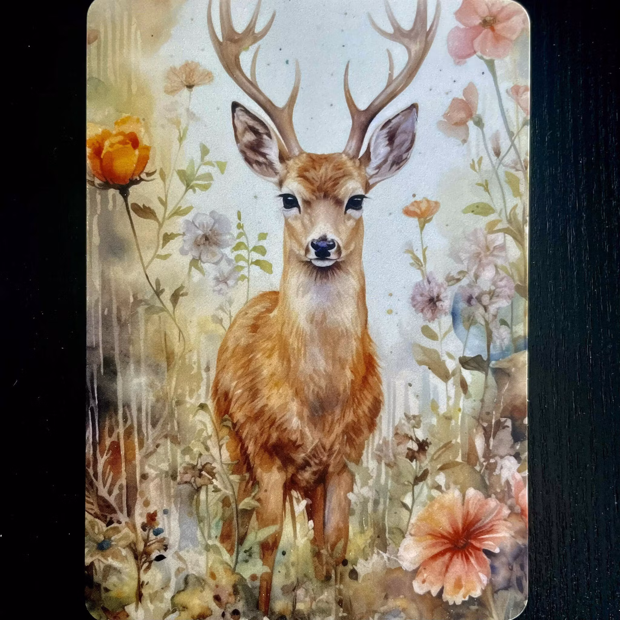 Flera enkla kort (8 stycken) - Rådjur och Hjort (Fraktfritt)