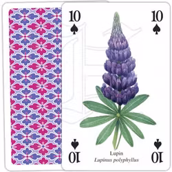 Klassisk kortlek med blomstermotiv