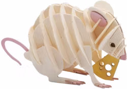 Djur att montera ihop - Vit liten mus