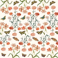 Origami - Fjärilar (20 blad)