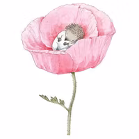 Enkelt kort utan kuvert - Lilla kotten (Fraktfritt)