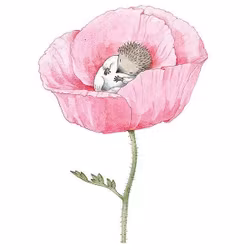 Enkelt kort utan kuvert - Lilla kotten (Fraktfritt)