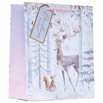 Mellanstor Julpåse - Vinterrenen