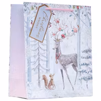 Mellanstor Julpåse - Vinterrenen