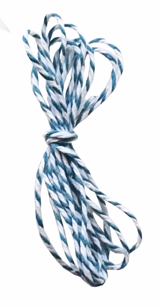 Mask set och skattjakt - Dinosaurier