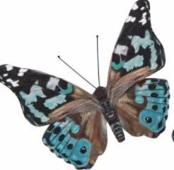 Vackra fjärilar - Smycka dig själv eller ditt paket (Två att välja bland) - Fraktfritt