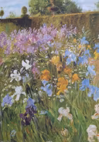 Dubbelt kort med kuvert - Ängsblommor (Fraktfritt)