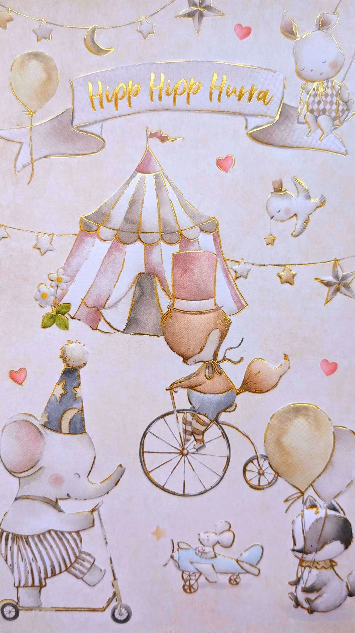 Kort med kuvert - Cirkuskalas (Fraktfritt)