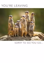 Dubbelt kort med kuvert - Your leaving (Fraktfritt)