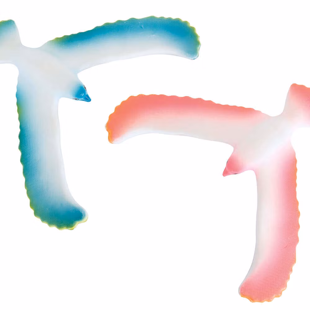 Balansfågel - Hur håller den sig kvar?