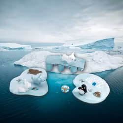 Samarbetsspel för de minsta (Little cooperation) från Djeco