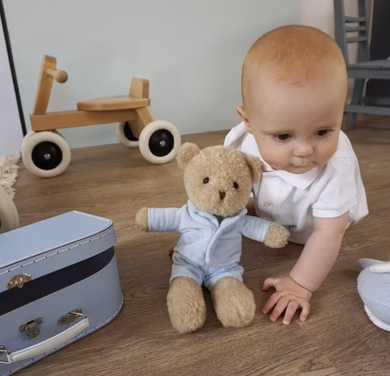 Nallen Morris och hans väska