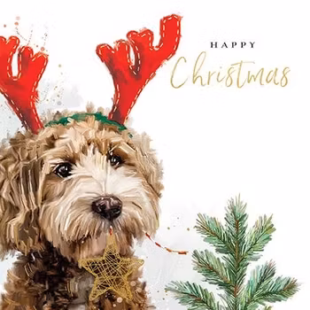 Dubbelt julkort med kuvert - Hundren (Fraktfritt)