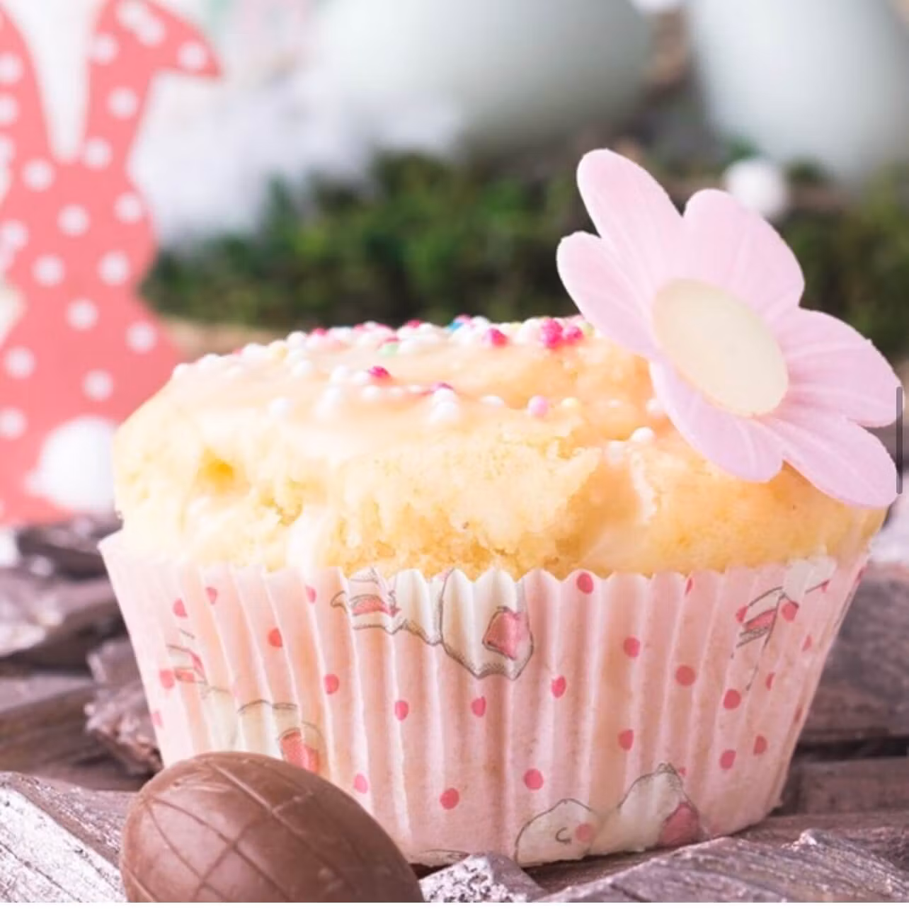 Muffinsformar - Kaniner (60 stycken)