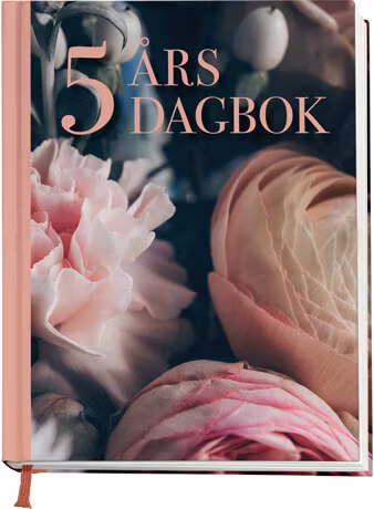 5 års dagbok