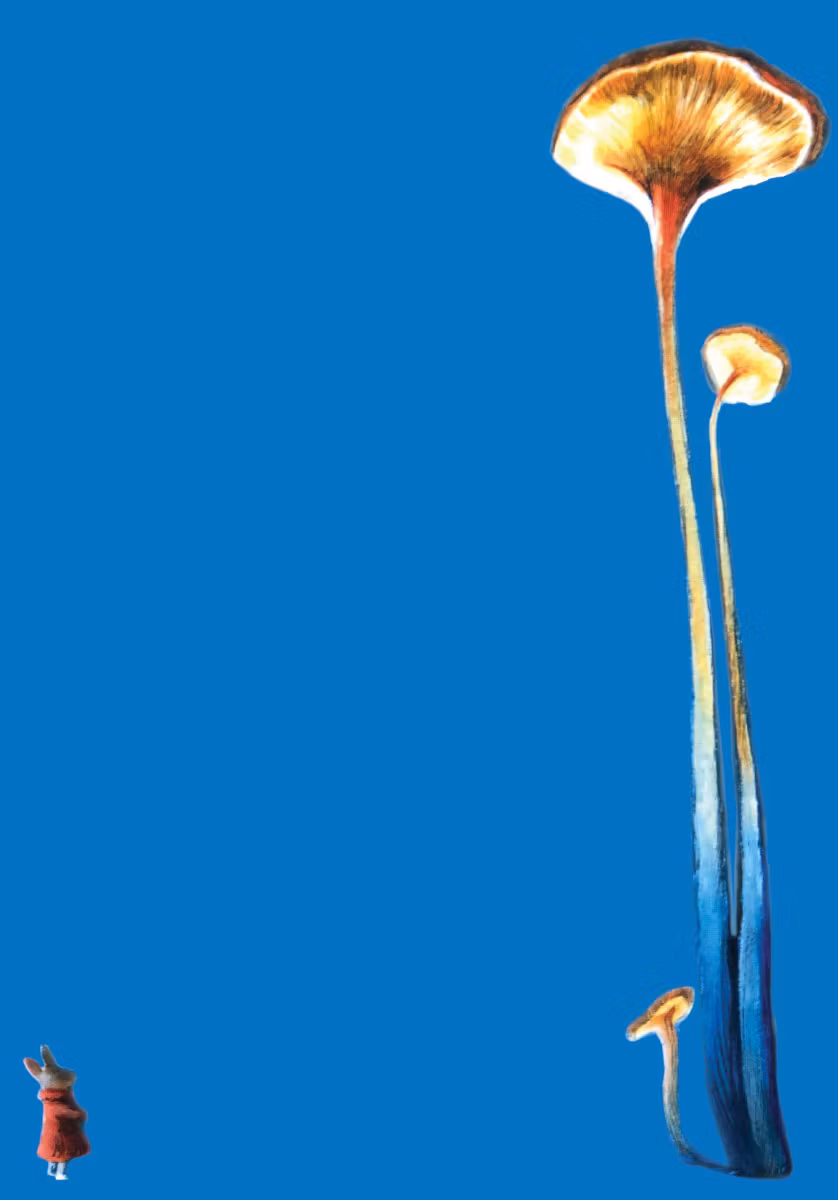 Skrivset med Brevpapper - Stjärnstoft