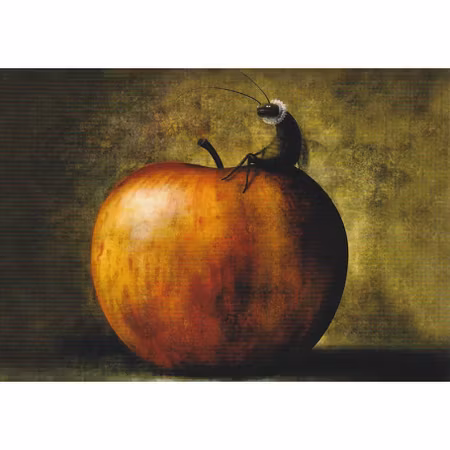 Enkelt Kort - Äpplet och insekten (Fraktfritt)