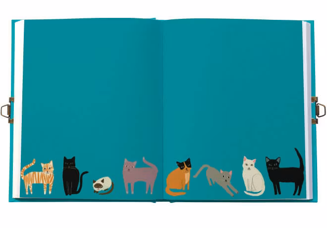 Dagbok - Vackra tassar