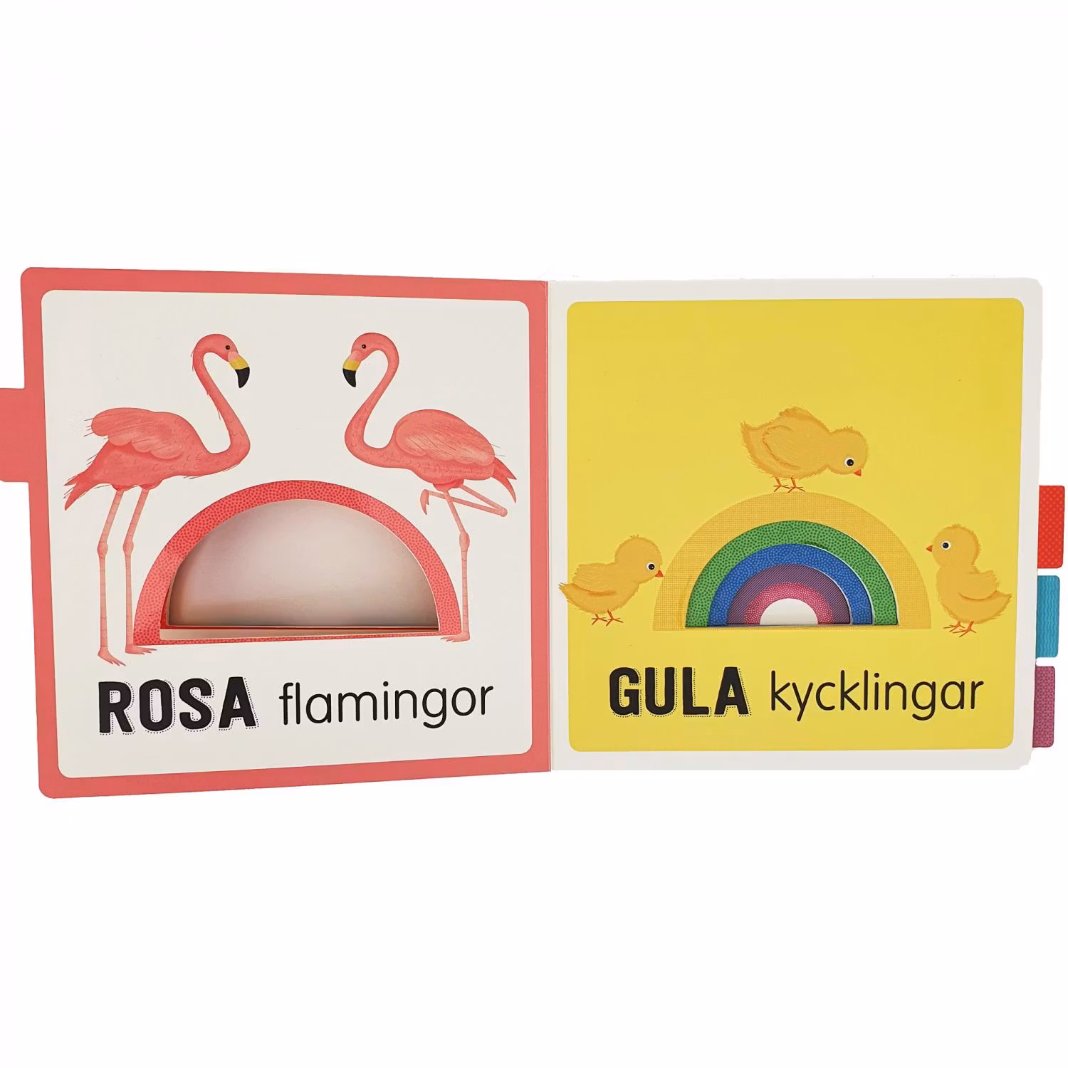 God morgon Regnbåge