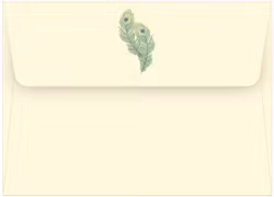 Förpackning med flera kort med kuvert - Påfågelsfjädrar