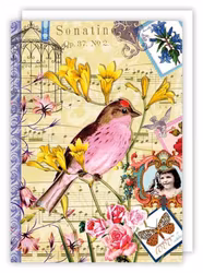 Dubbelt kort med kuvert - Musikalfågeln (Fraktfritt)