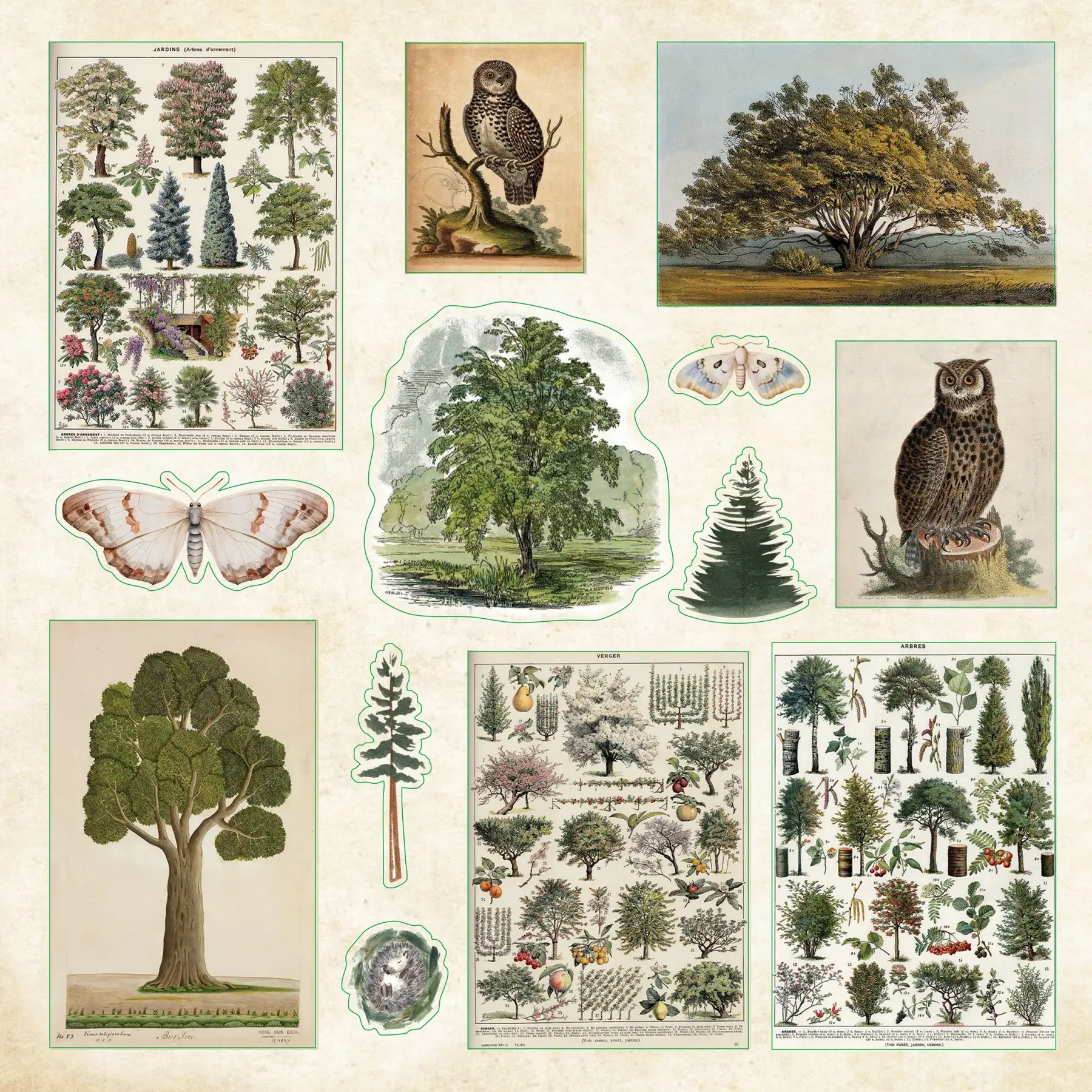 Klistermärkesbok - Enchanted Forest