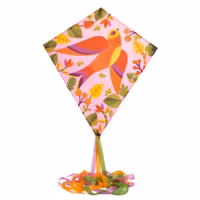 Flygande drake - Fågeln