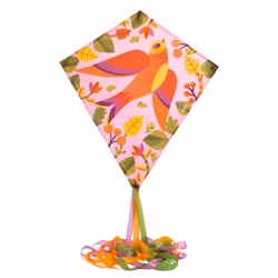 Flygande drake - Fågeln