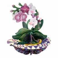 Magiskt gratulationskort - Orkidéer (Fraktfritt)