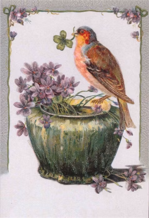 Kort med kuvert - Turfågeln (Fraktfritt)