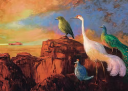 Enkelt Kort - Fågelskådning (Fraktfritt)