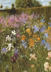 Dubbelt kort med kuvert - Ängsblommor (Fraktfritt)