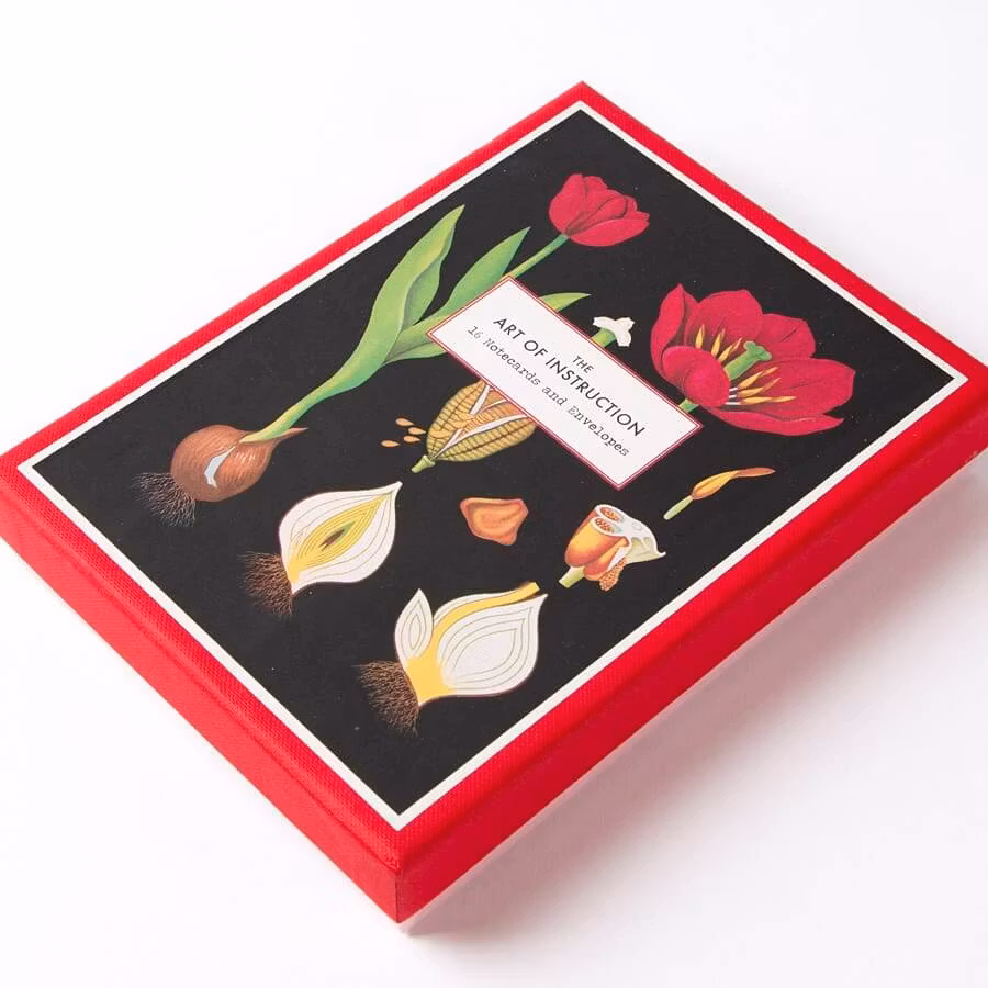 Förpackning med flera kort med kuvert - Konsten att undervisa