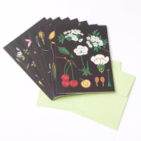 Förpackning med flera kort med kuvert - Konsten att undervisa