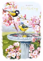 Dubbelt kort med kuvert - Fåglar i badet (Fraktfritt)