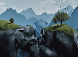 Enkelt Kort - Hannibal (Fraktfritt)