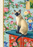 Liten bok för dina koder - Katten på skåpet (A6)