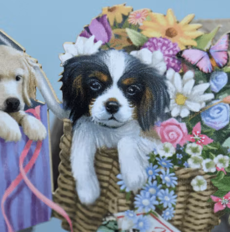 Magiska gratulationskort - Hundvalpar på cykeln (Fraktfritt)