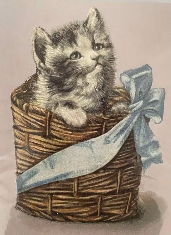 Enkelt lyxigt kort - Katt i korg (Fraktfritt)