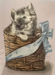 Enkelt lyxigt kort - Katt i korg (Fraktfritt)